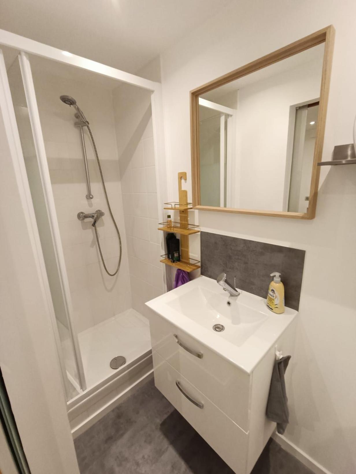 Appartement Nid Cosy Et Sauna Prive & Proche Centre & Kehl